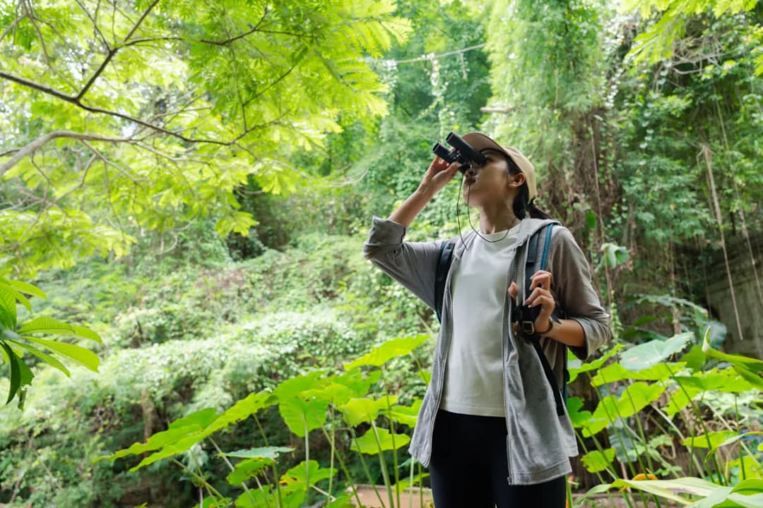 Wildlife Exploration