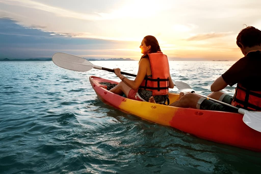 Ideal for Beginners & Experts