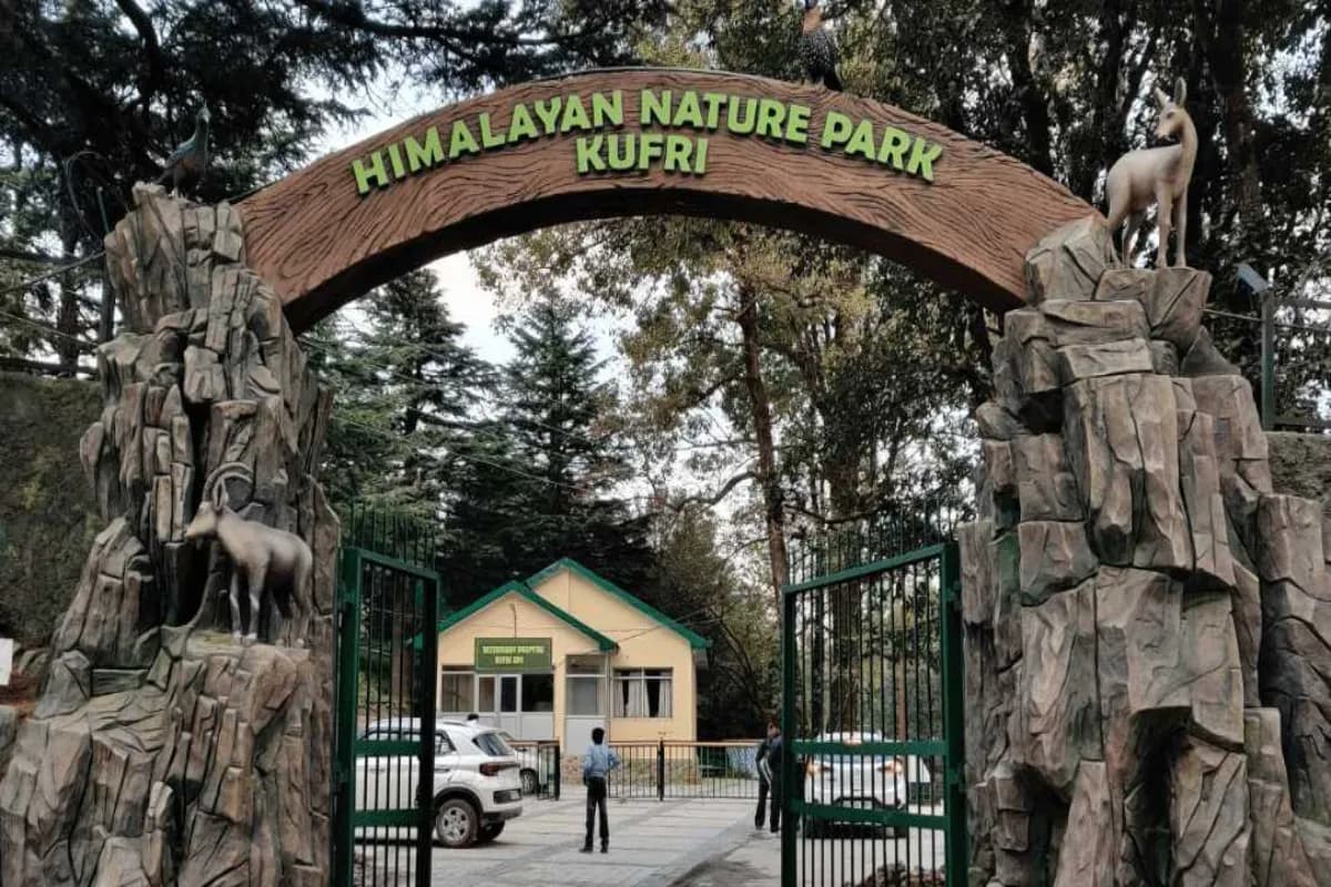 Himalayan Nature Park Kufri Zoo