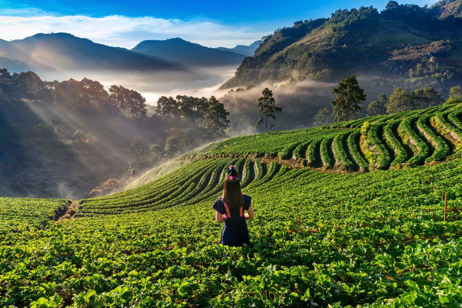 Kerala