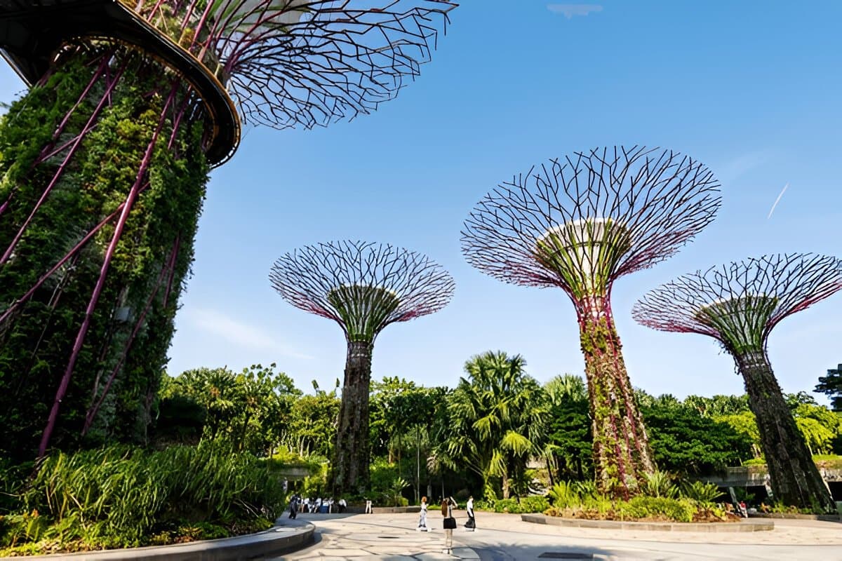 Singapore Botanical Tour