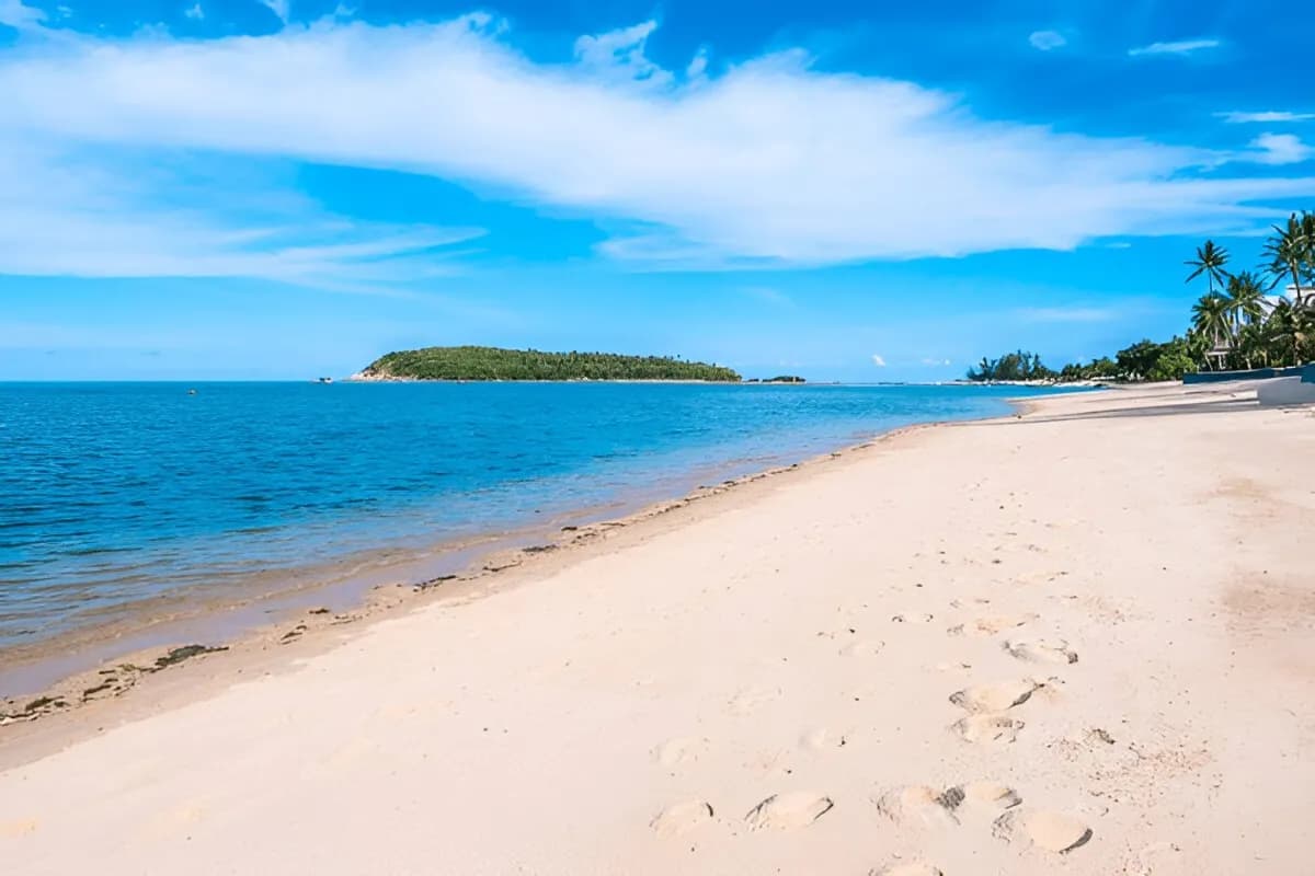 Arugam Bay