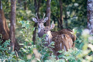 Gorgeous Uttarakhand 