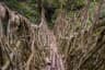 Double Decker Living Root Bridge View