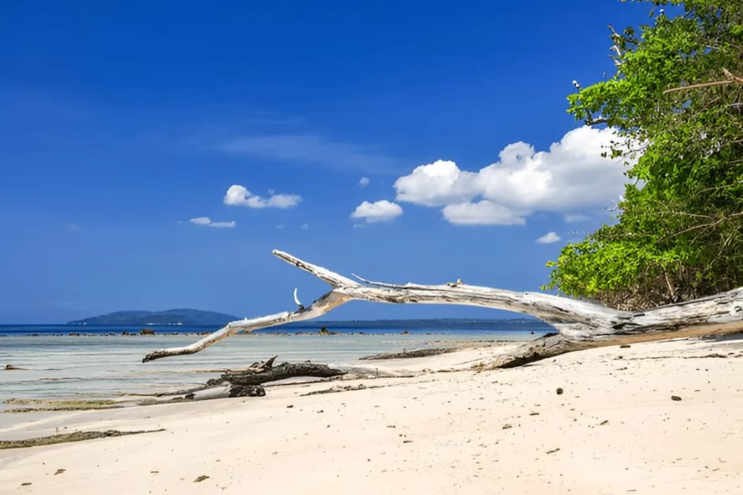 Elephant Beach, Havelock
