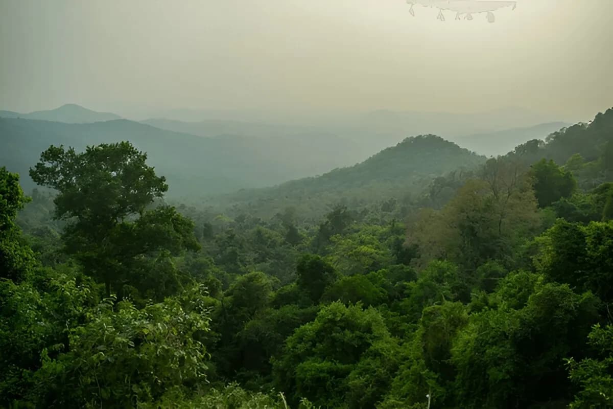 Bhagwan Mahavir Wildlife Sanctuary