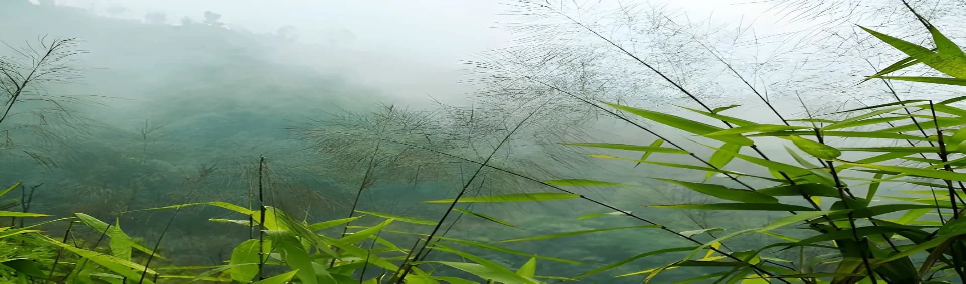 Winter in Meghalaya: What to Expect Before You Go