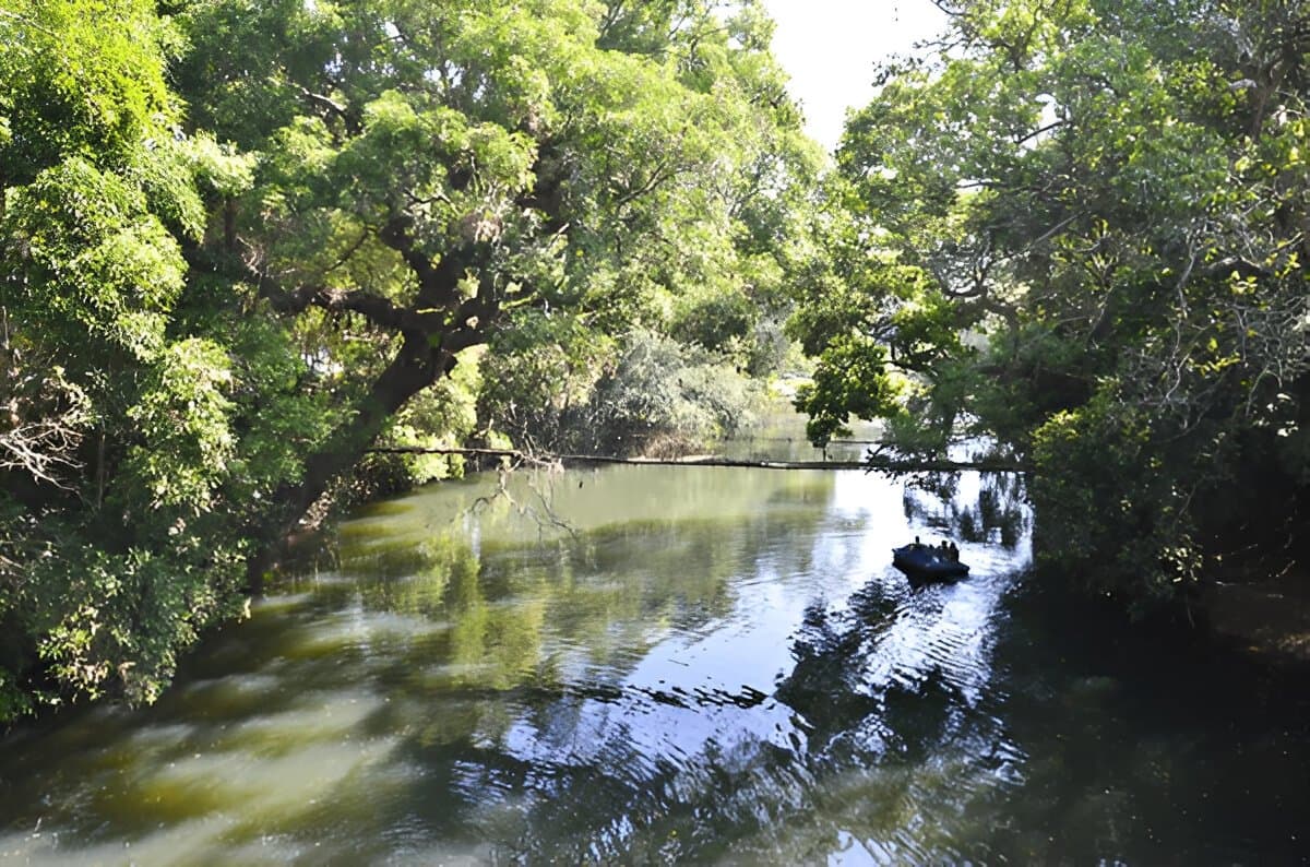 The Hanging Bridge, Nisargadhama