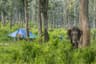 Mysore & Coorg