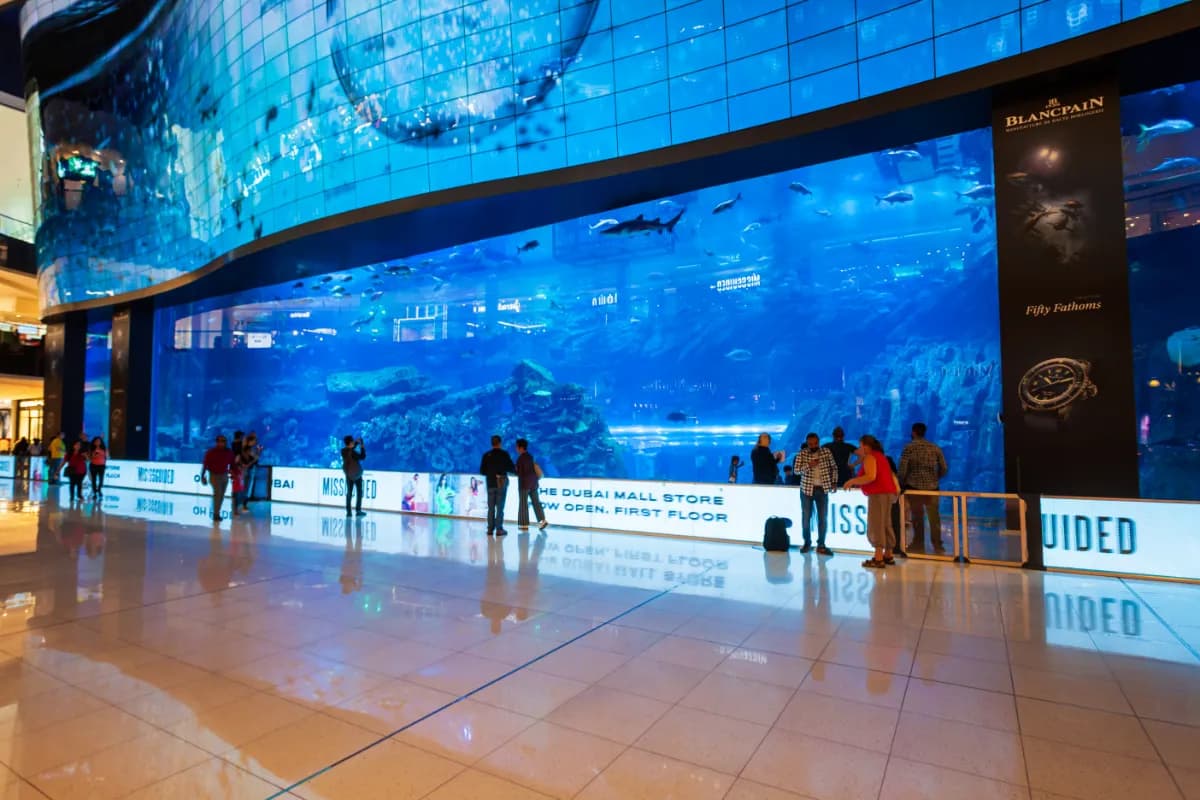 Dubai Aquarium & Underwater Zoo