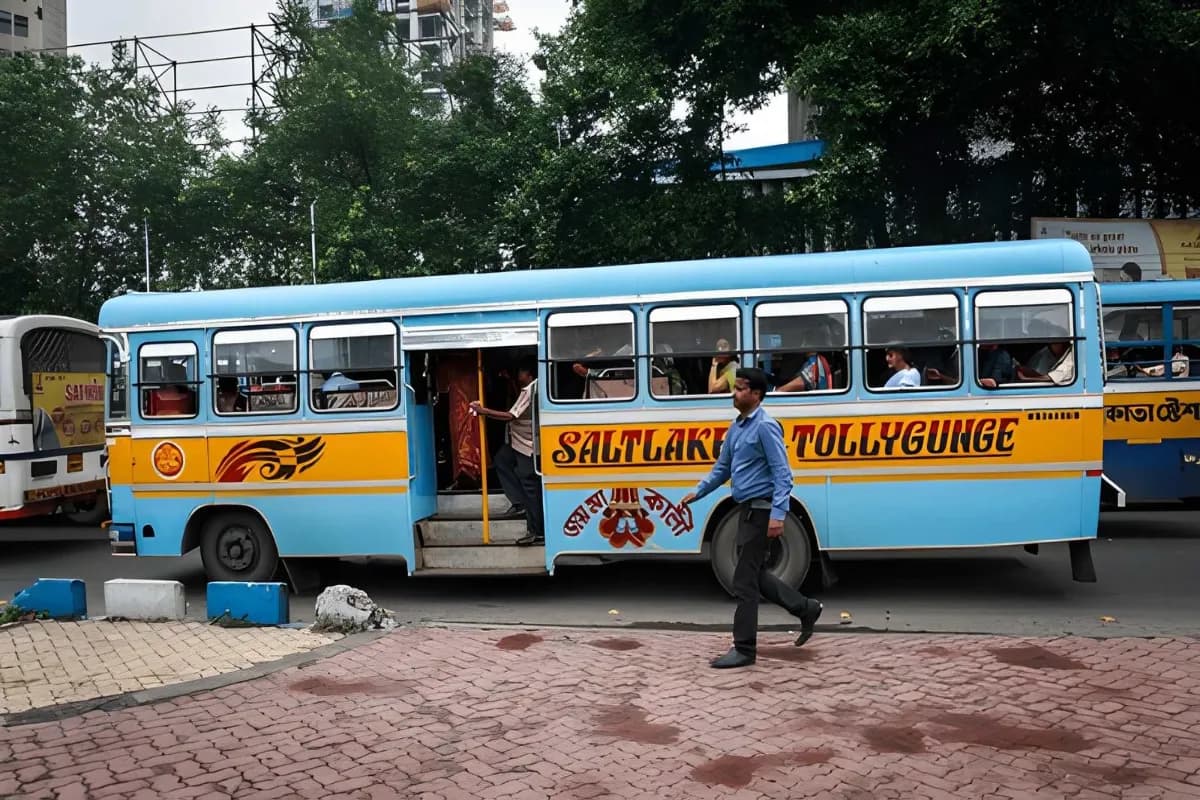 Local Buses (MSTC)