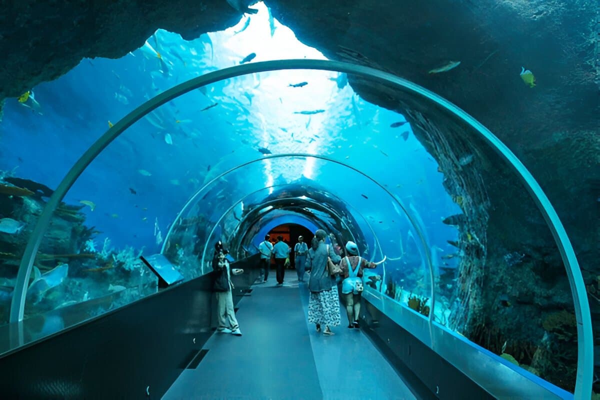 Singapore Universal Studios & Sea Aquarium Tour