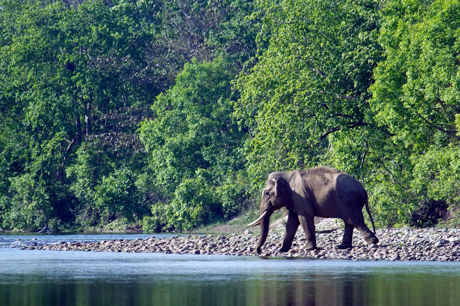 Nepal Discovery Tour