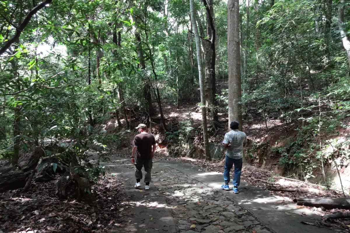 Udawatta Kele Sanctuary