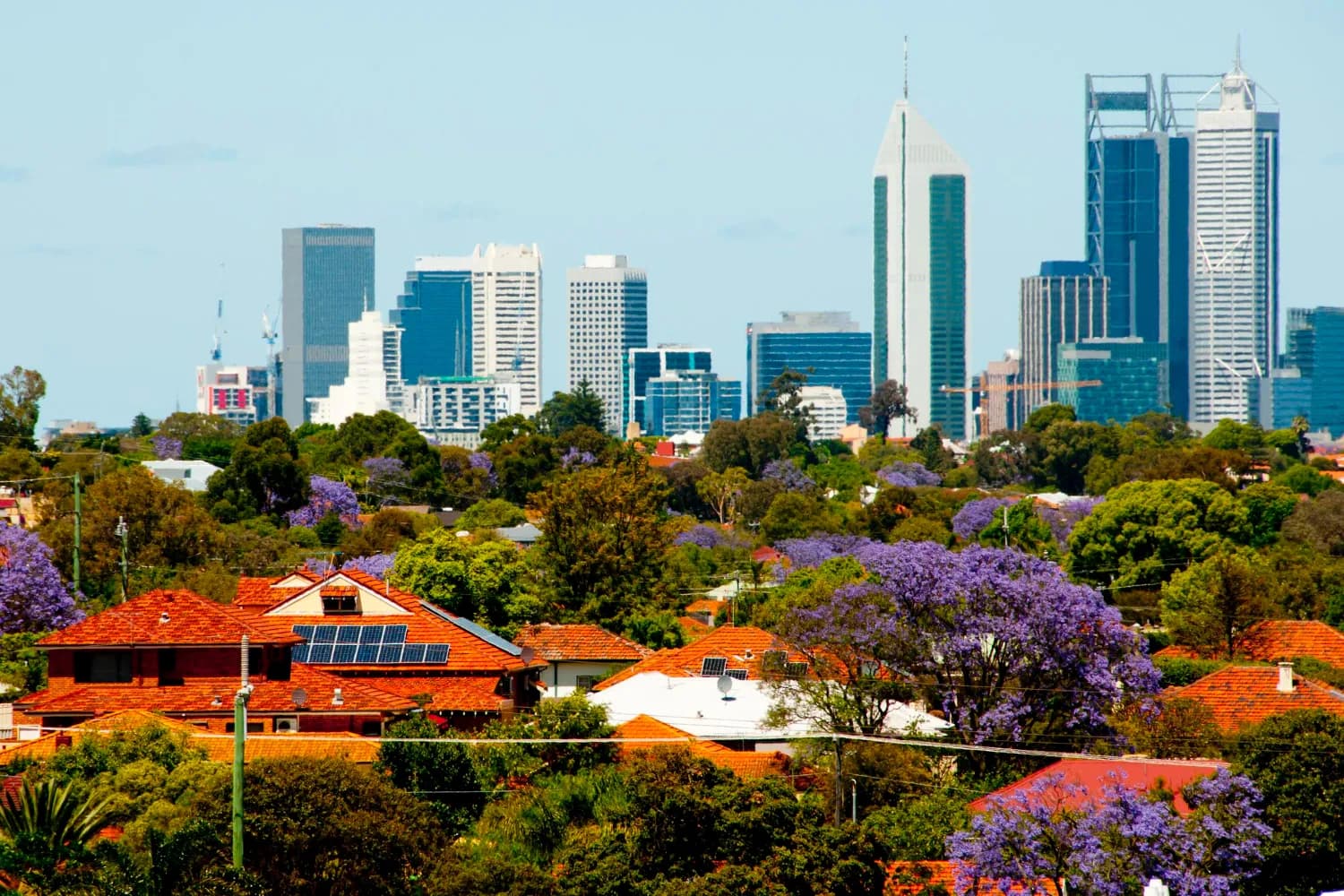 South African Adventure