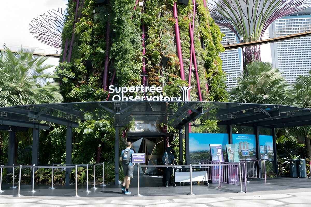 Supertree Observatory 