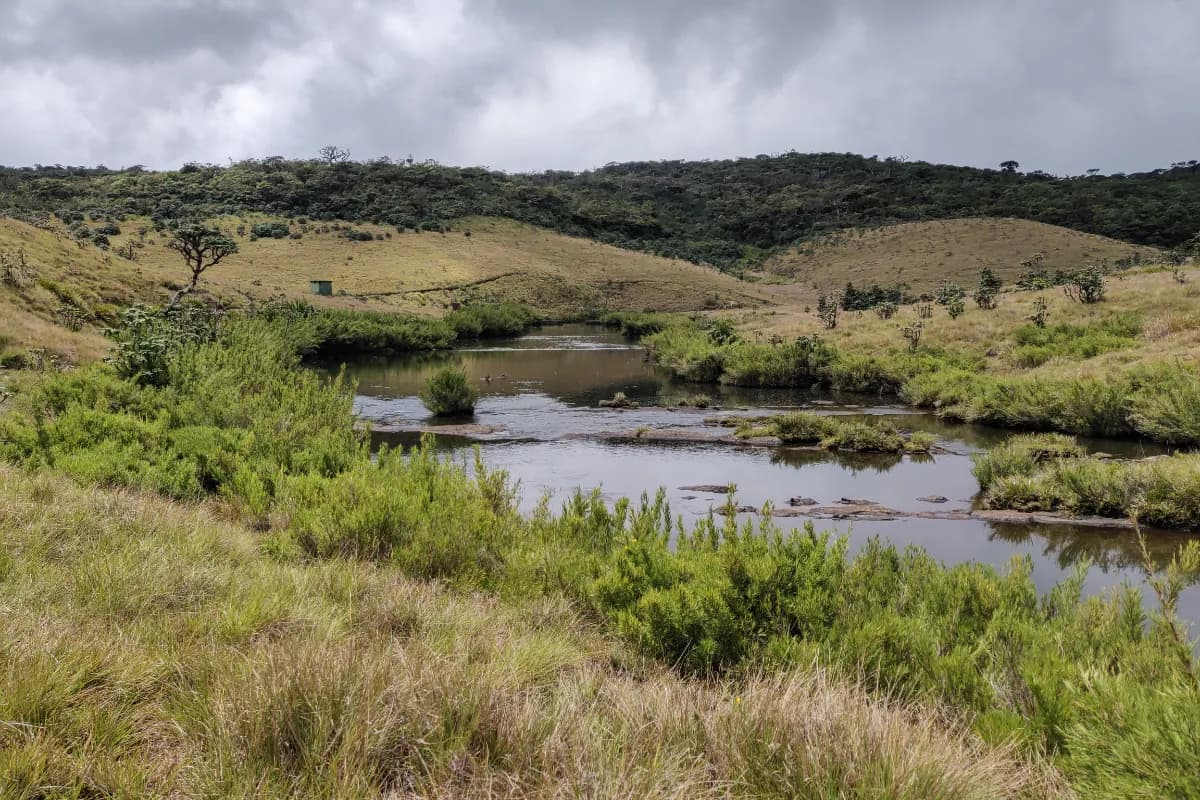 Horton Plains National Park