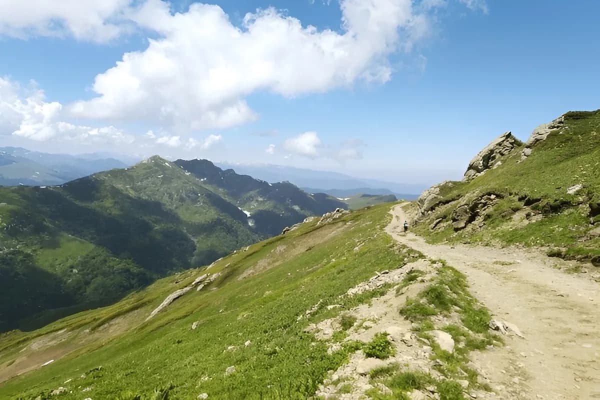 Borjomi & Kharagauli National Park