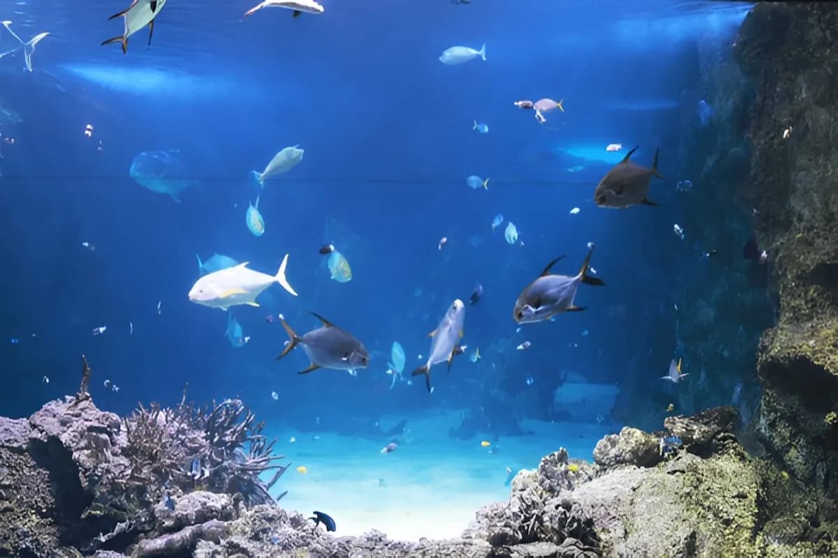 SEA LIFE Melbourne Aquarium