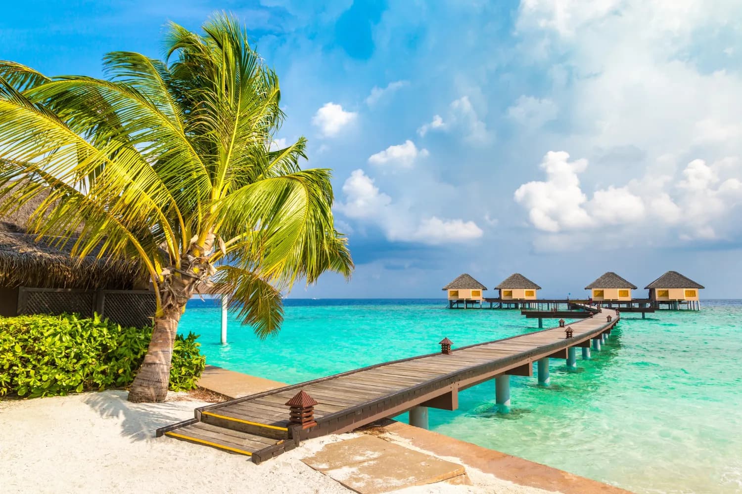 Tropical Bliss in Maldives