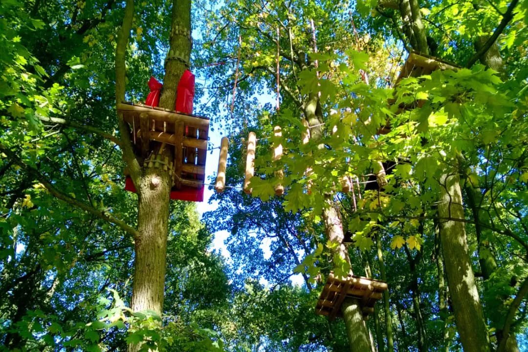 TreeTop Challenge