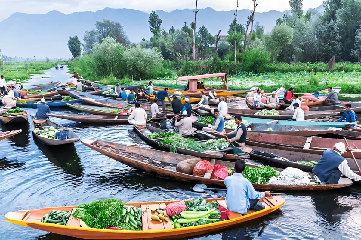 Floating Markets of Srinagar