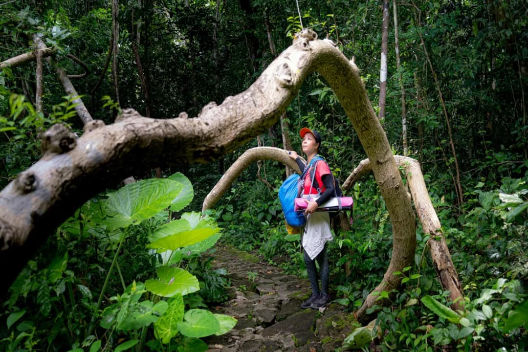 Madhuban Nature Trail