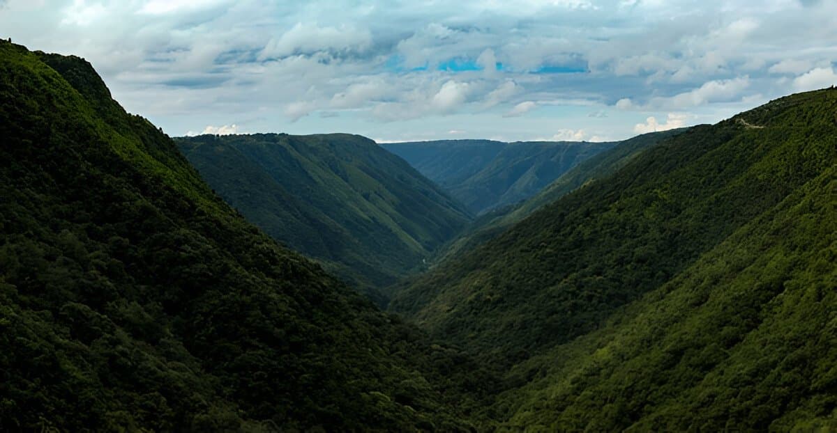 North EAst