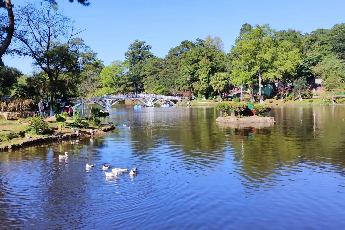 Scenic View of Ward's Lake