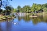Scenic View of Ward's Lake