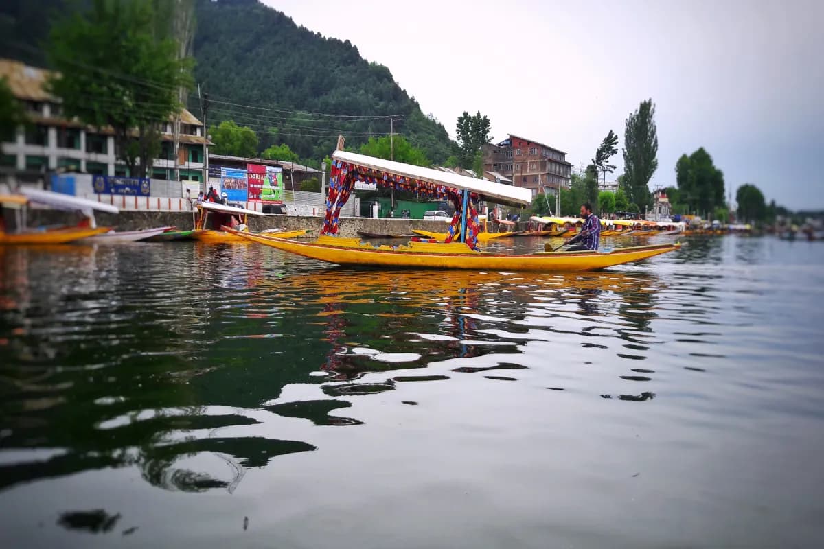Shikara Rides