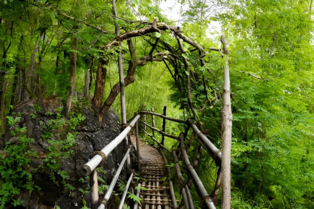Bamboo Bridge Crossing