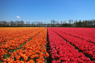 Grand Europe Expedition | 10 Countries in 15 Days