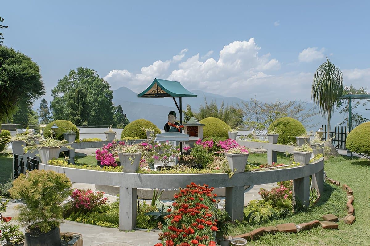 Pine View Nursery