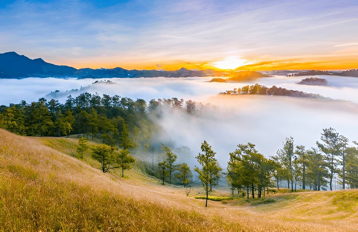 Golden Valley