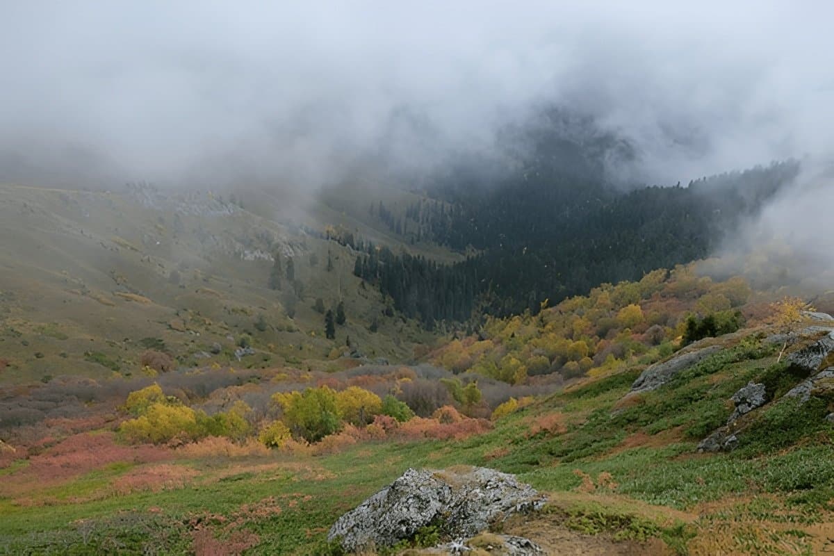 Borjomi & Kharagauli National Park