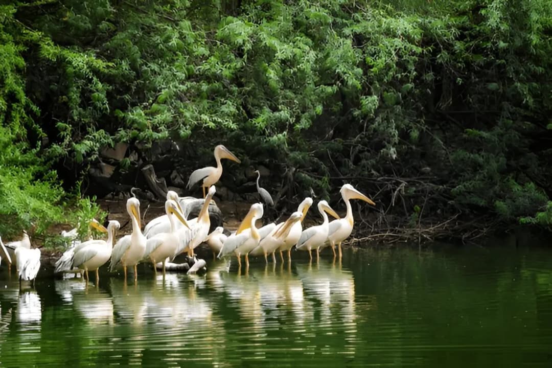 Peaceful Environment