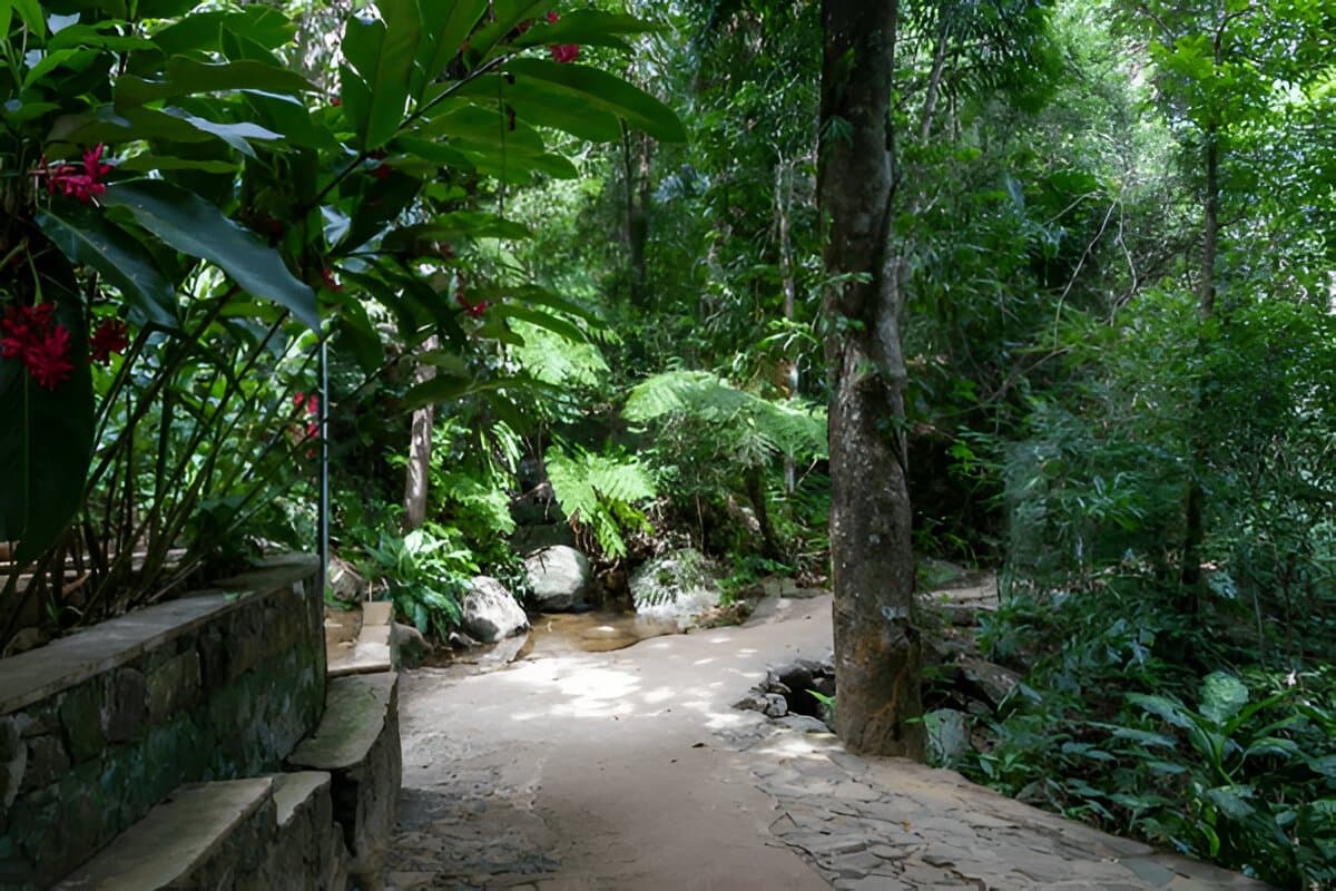 Sinharaja Forest Reserve