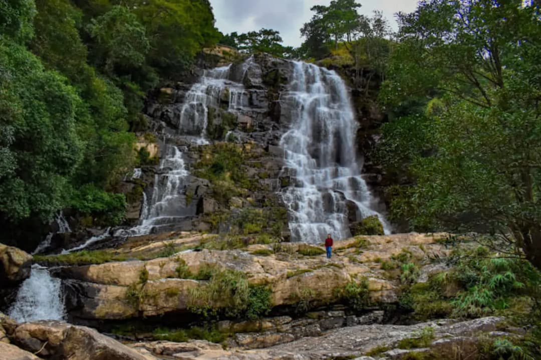 Layered Waterfall Viewpoint