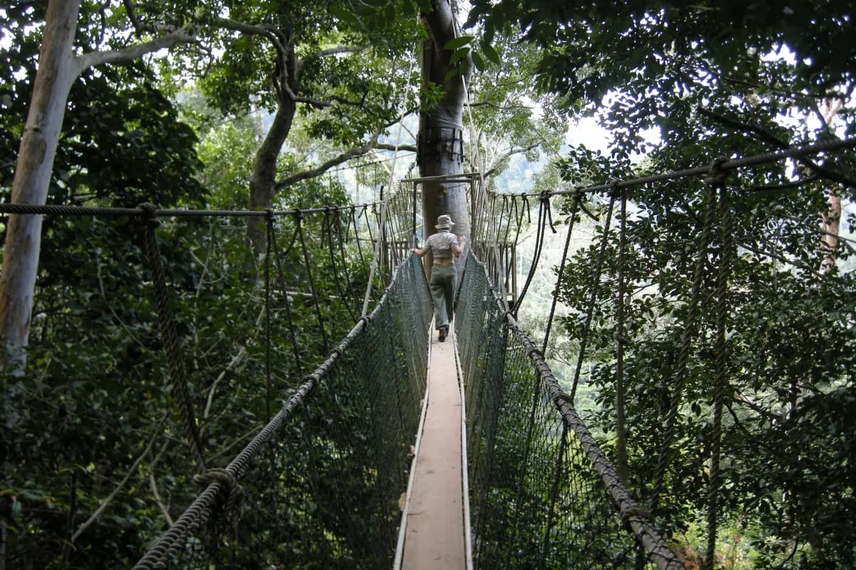Taman Negara National Park