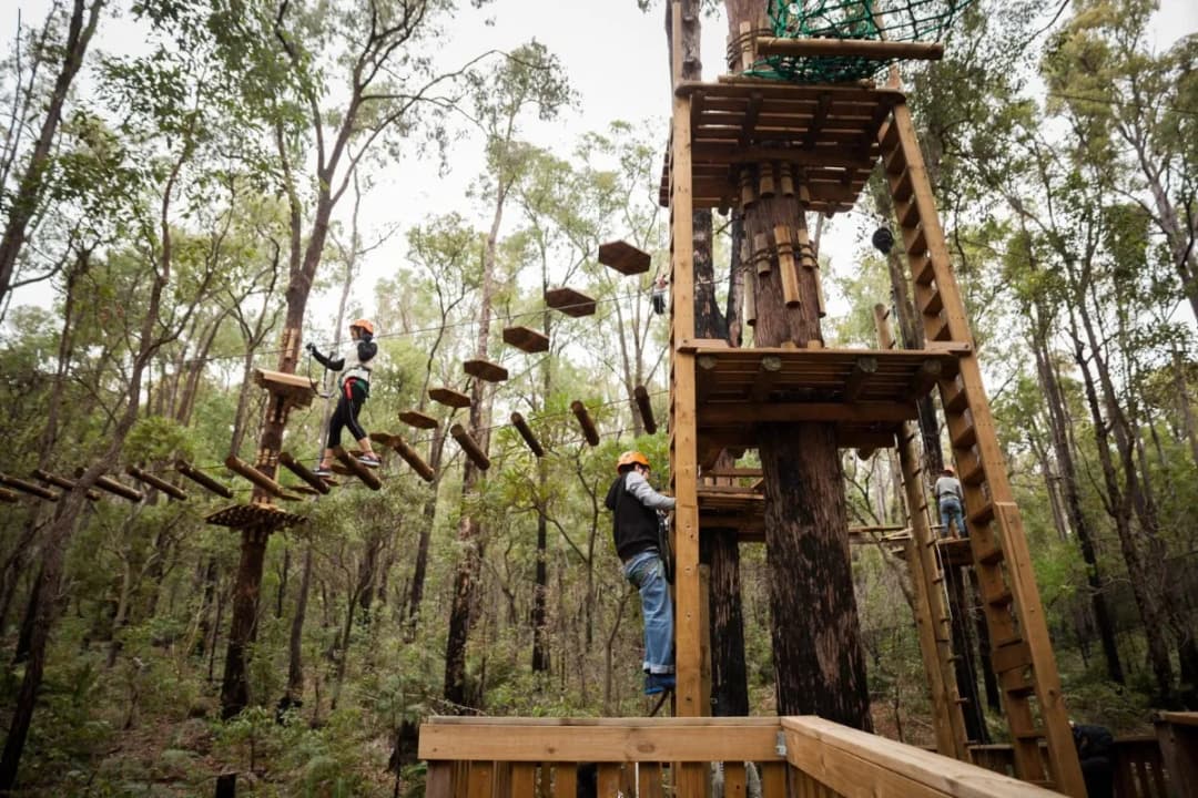 Treetop Adventure
