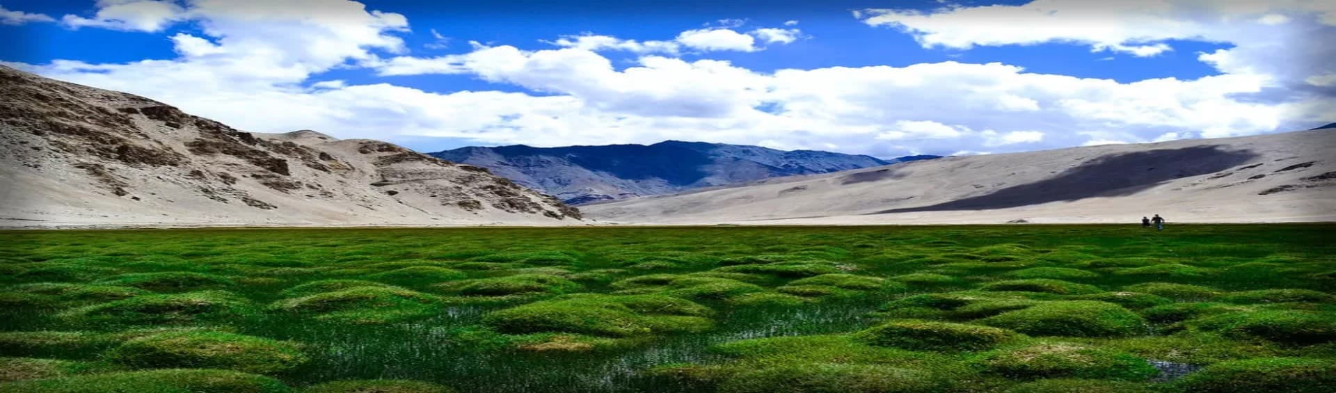 Puga Valley: The Underrated Geothermal Region of Ladakh