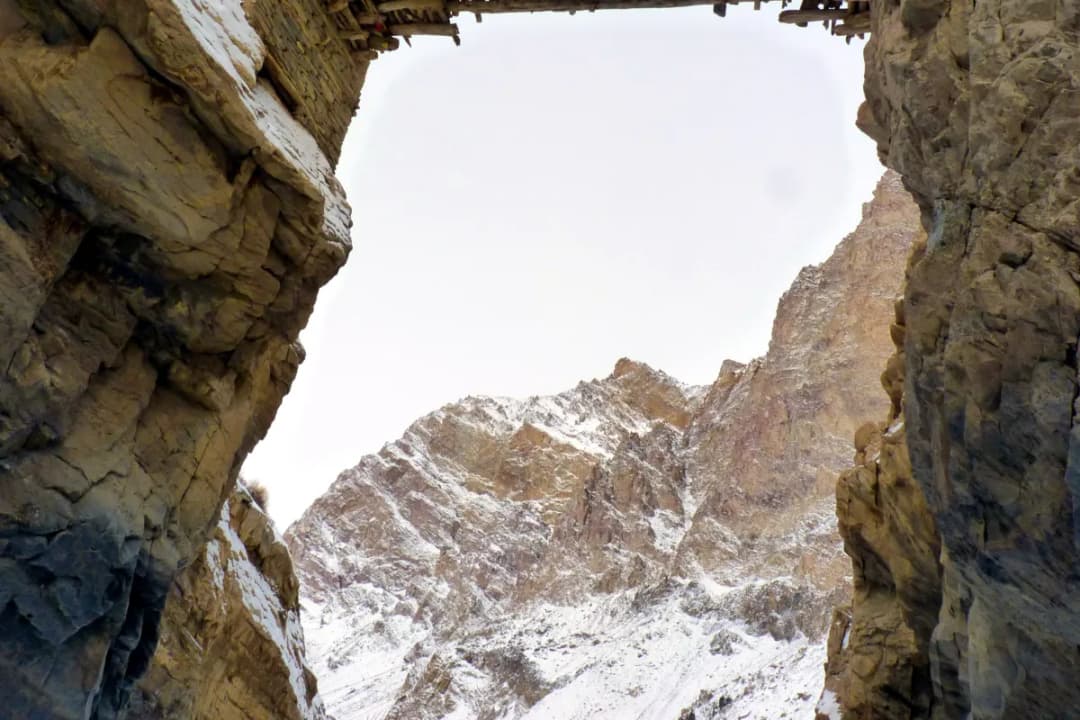 Spine-Chilling Height Experience