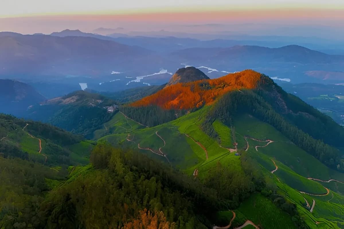 Munnar Tea Gardens