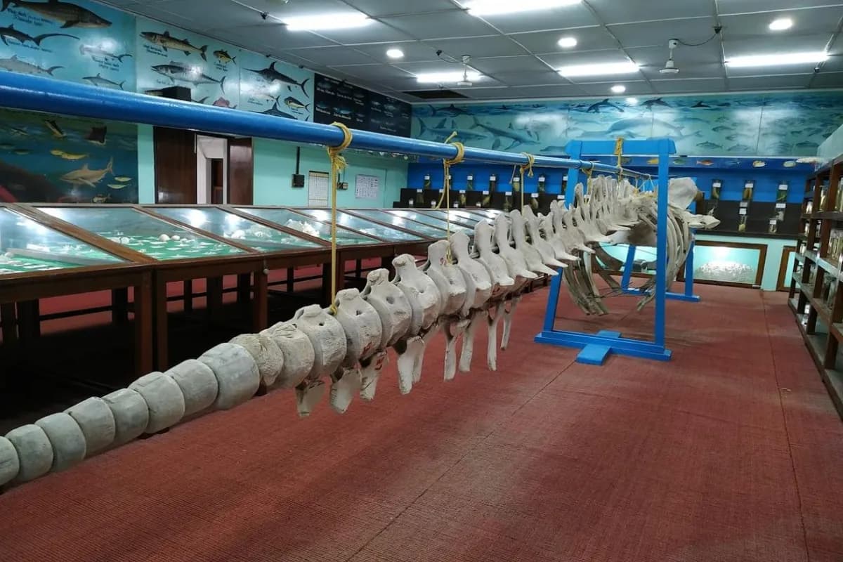 Marine Aquarium and Museum