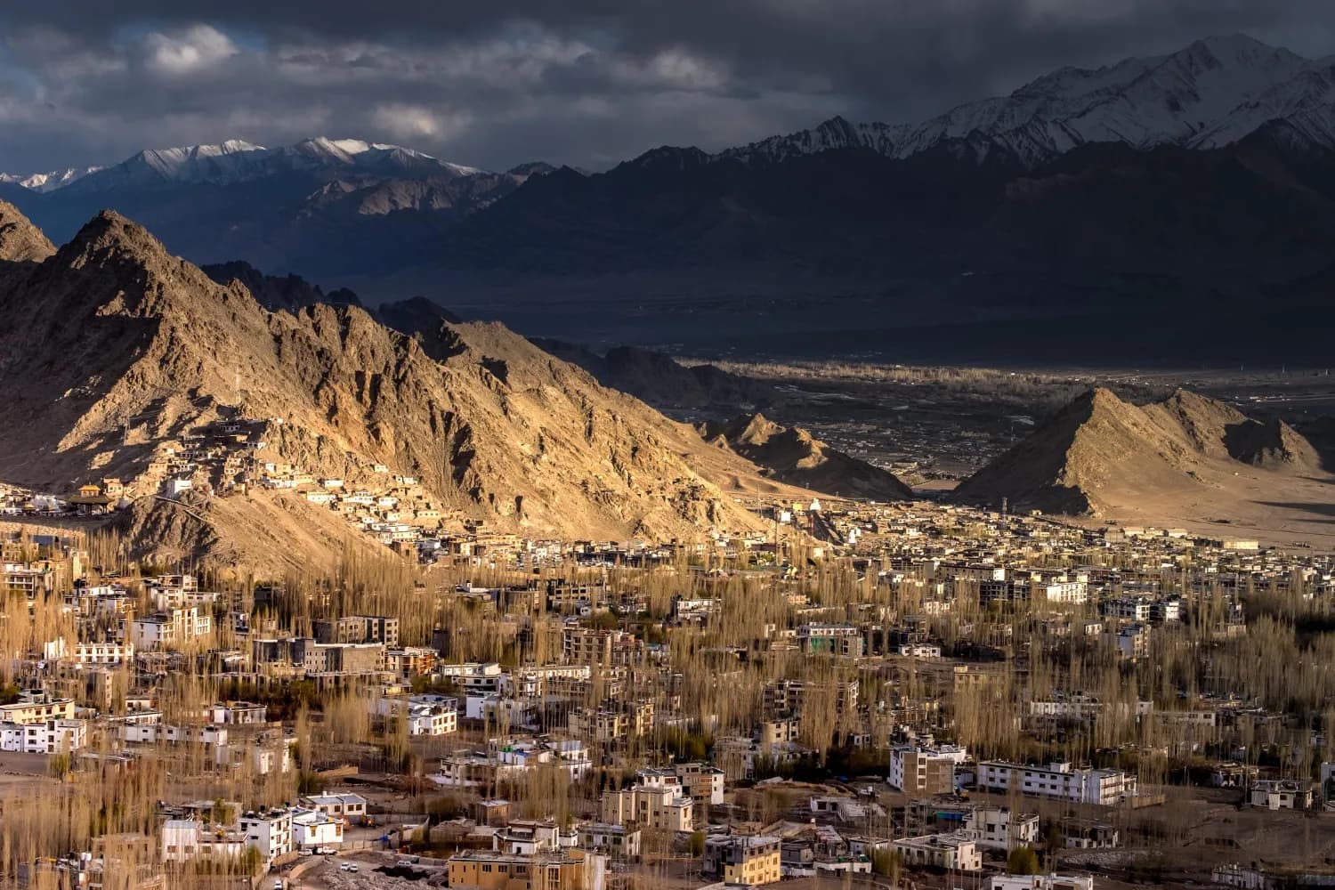 Explore Leh & Beyond with Khardungla & Chang La Pass