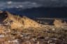 Explore Leh & Beyond with Khardungla & Chang La Pass