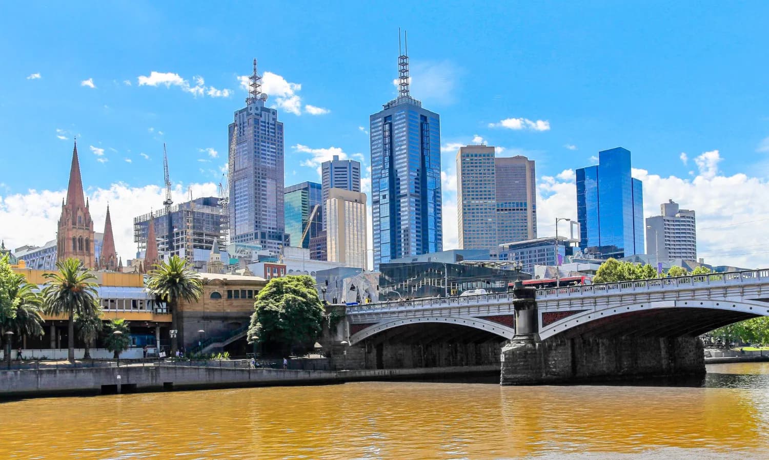 Exotic Brisbane Tour with Dolphin Feeding Experience