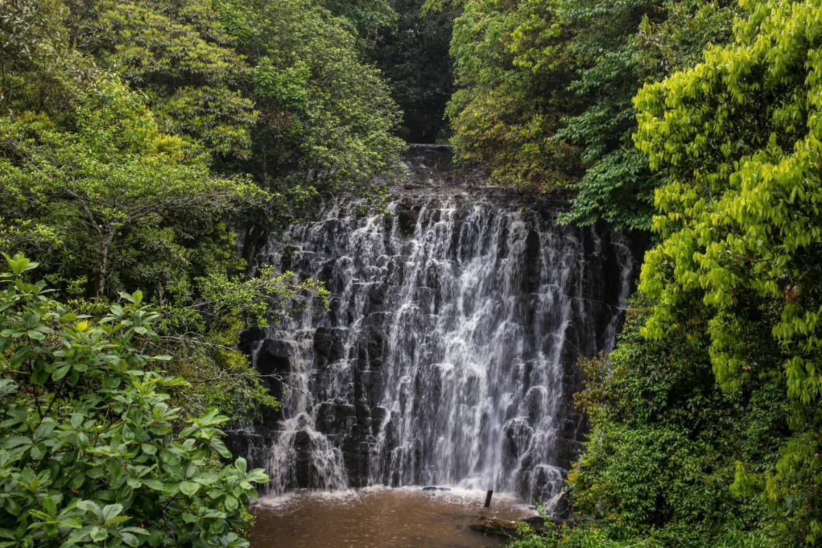 Elephant Fall in Meghalaya