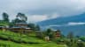 Quick Getaway to Kerala